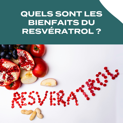  resvératrol avantages