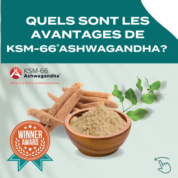 ashwaganda bénéfices