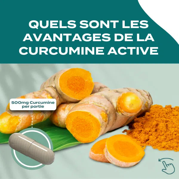 Curcumine active avantages