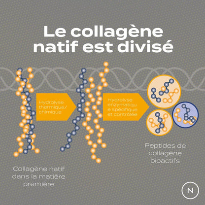 Peptides de collagène