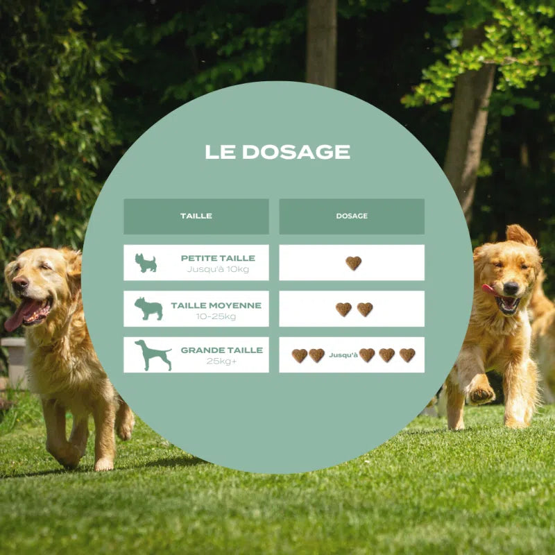 Friandises pour chien DOSAGE