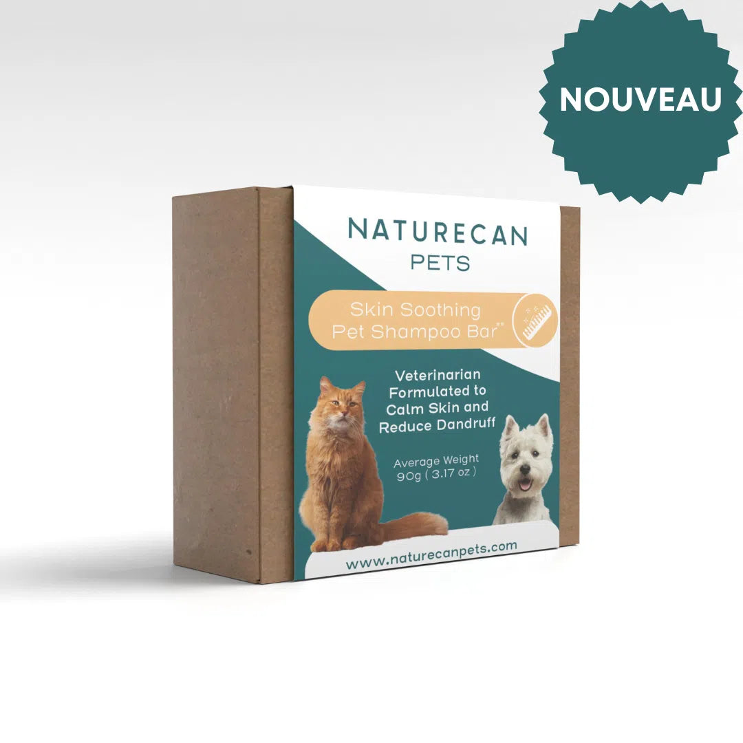 Shampoing CBD pour chien